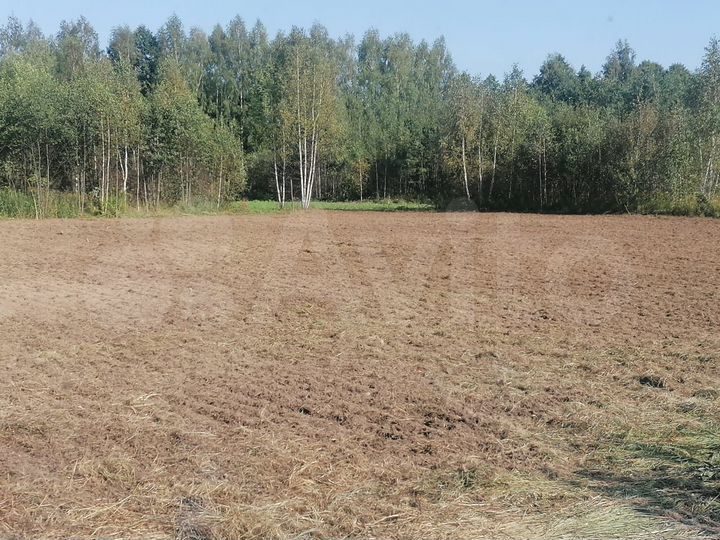 Участок 28 сот. (СНТ, ДНП)