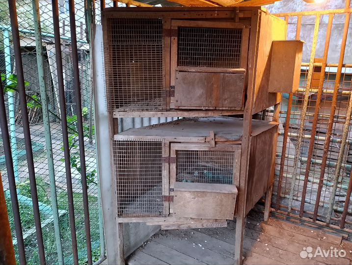 Клетки для кроликов