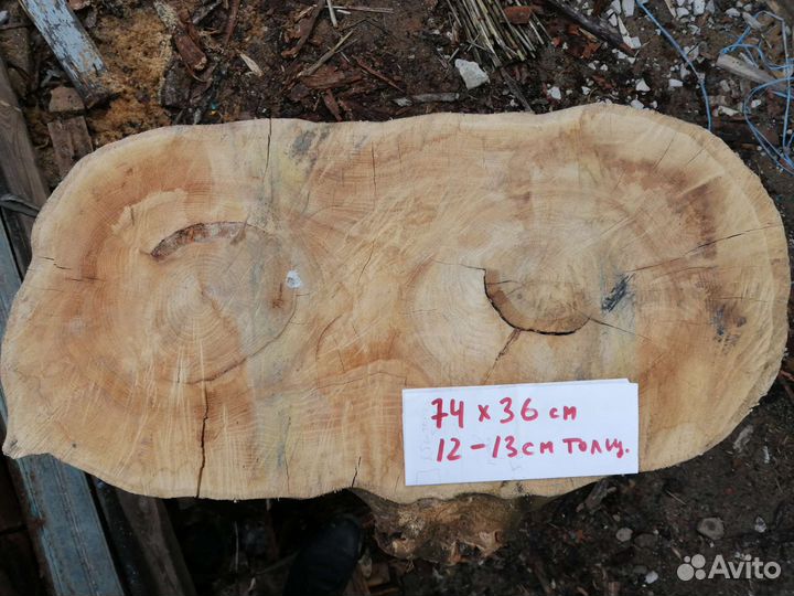 Спилы дуба, березы для столов