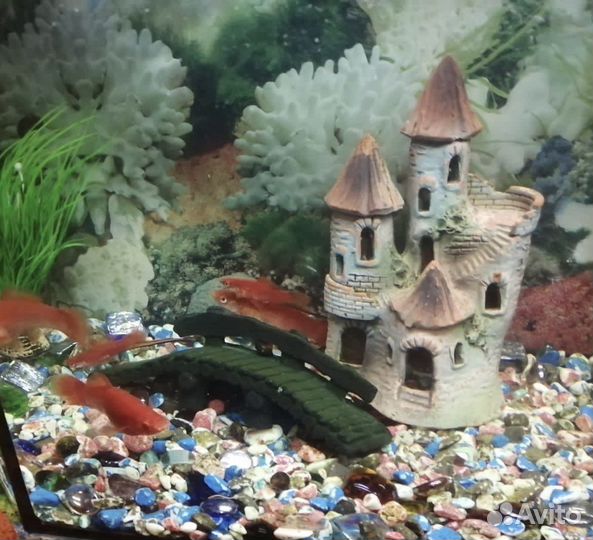 Аквариум вместе с рыбками