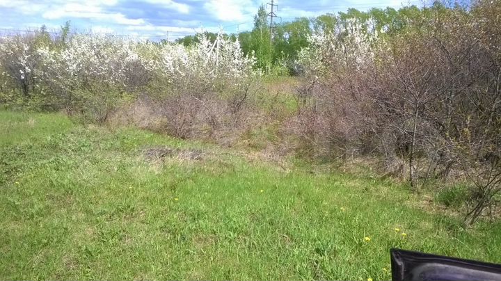 Участок 15 сот. (СНТ, ДНП)