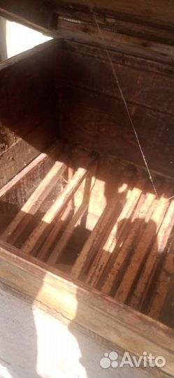 Пчеловодство