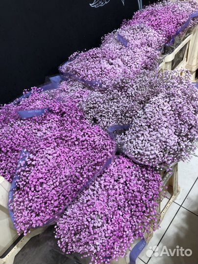 Гипсофила букет