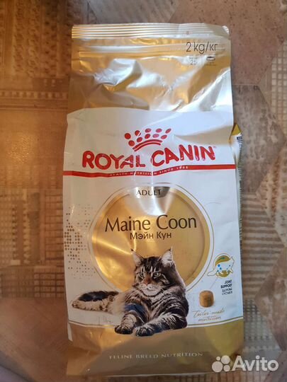 Корм для кошек и котят мейн-кун royal canin