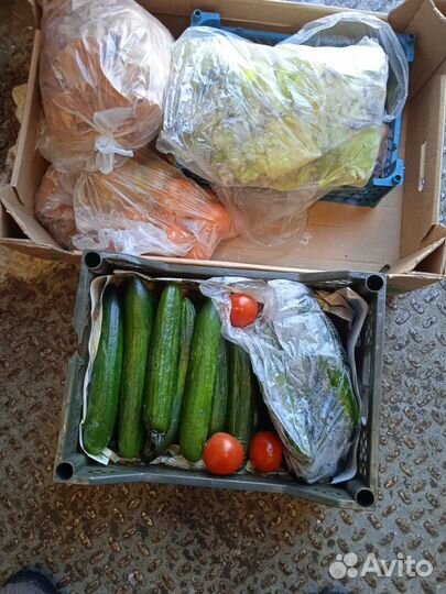 Продукты на корм для животных