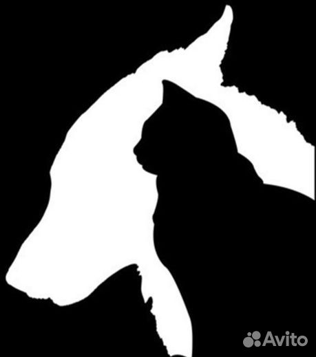 Кремация домашних животных