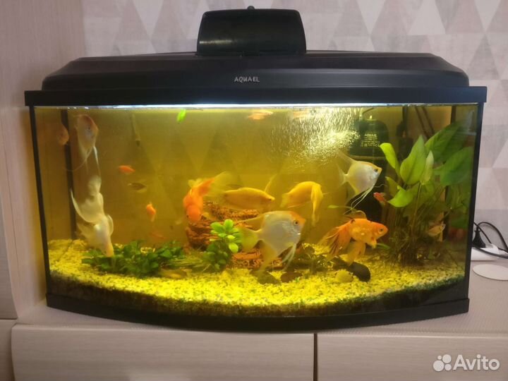 Аквариум aquael 100