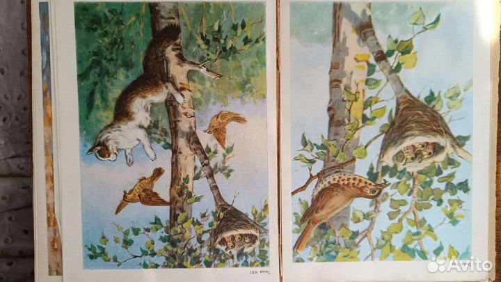 Альбом сюжетных картинок по развитию речи учащихся