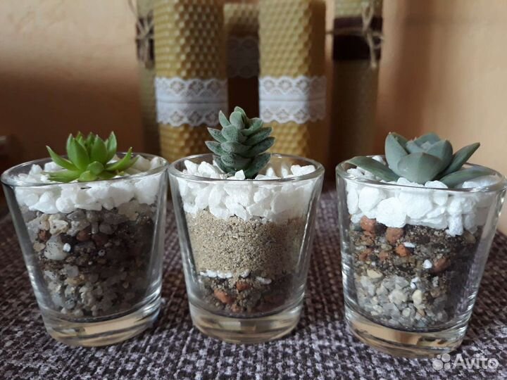 Флорариум mini