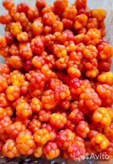 Варенье. Калган