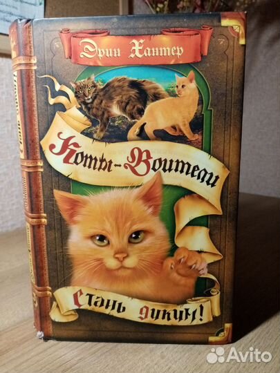 Коты воители стань диким