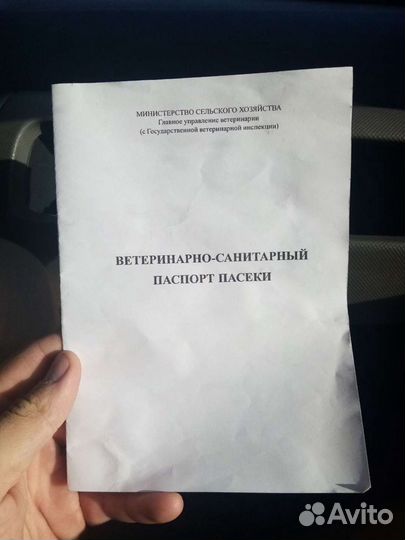 Мед в сотах