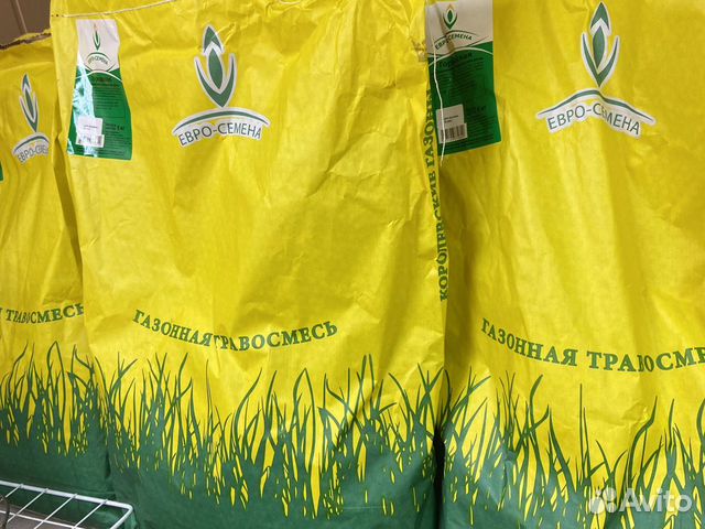 Газон Газонная трава Городская Уневерсальная