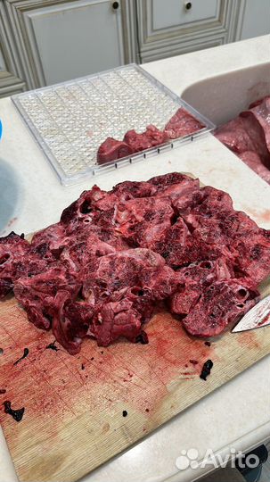 Корм для домашних животных