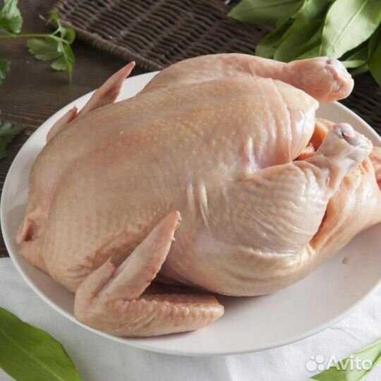 Куры бройлеры тушки