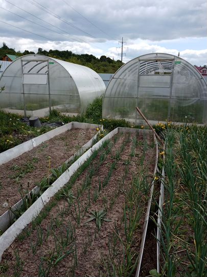 Участок 8 сот. (ИЖС)