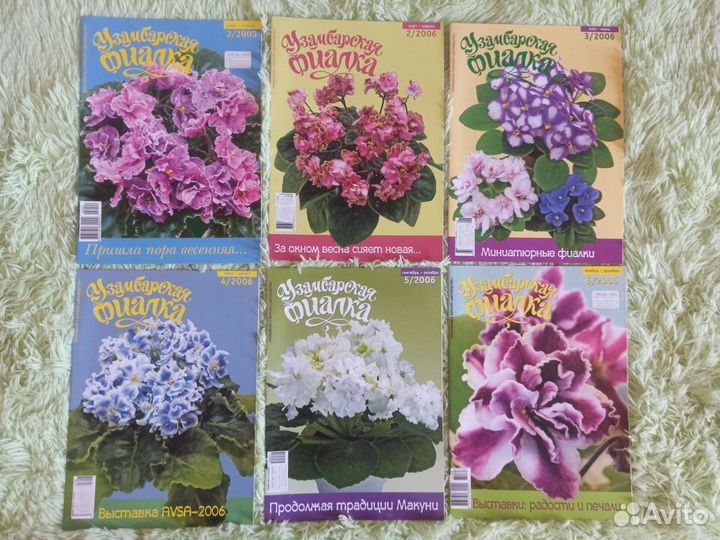 Журналы Узамбарская фиалка