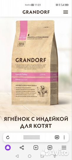 Корм для беременных кошек и котят