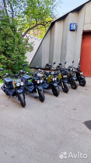 Honda zoomer японский внедорожный скутер