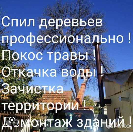 Спил Деревьев