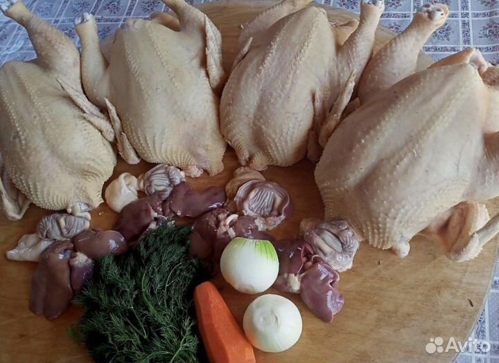 Курочки домашние с доставкой