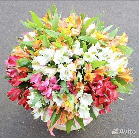 Альстромерии цветы букеты