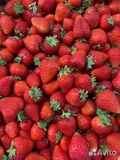 Свежая Клубника с доставкой