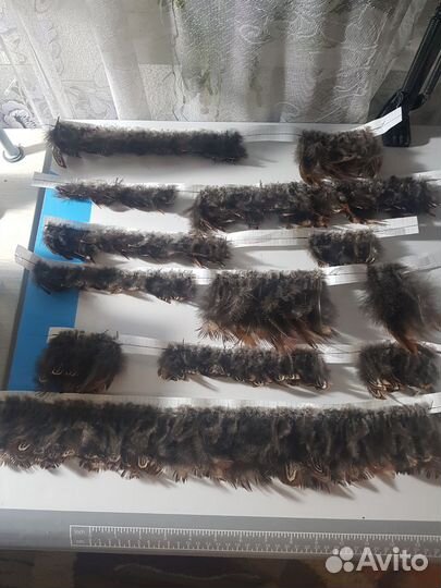 Перья фазана