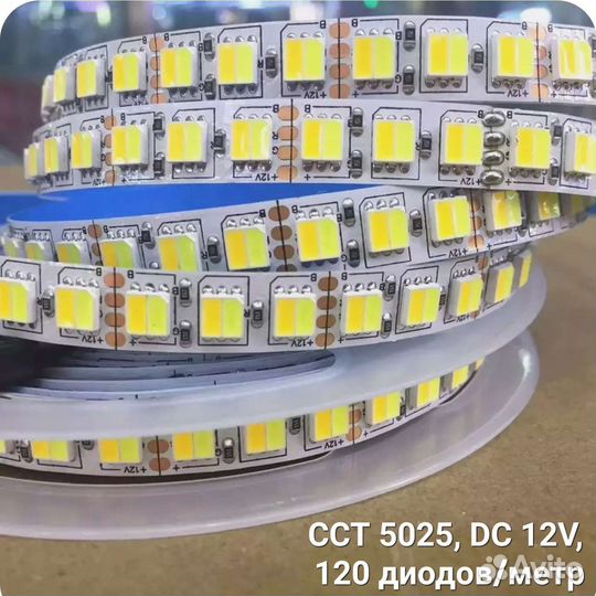 Лента светодиодная Хол+Тёплый Белый 5 метр