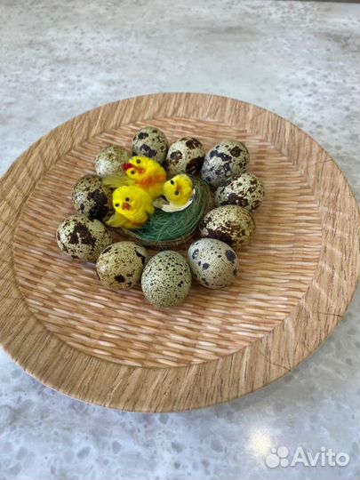 Перепелинное яйцо