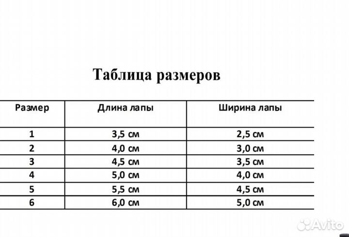 Обувь для собак