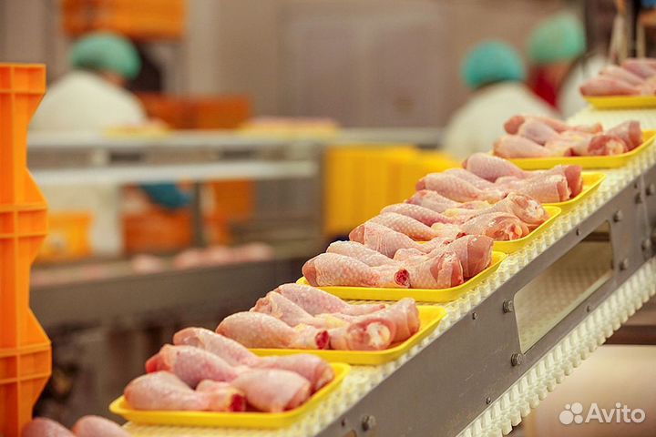 Работники на птицефабрику. Куженер. Йошкар-Ола