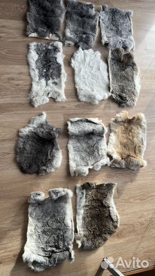 Шкурки кролика