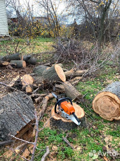 Продам колотые дрова