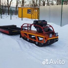 Приполярный Урал Росомахи