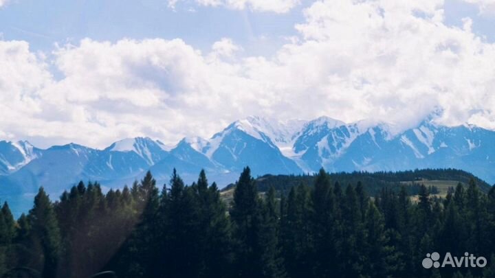 Путевка Алтай летний экспедиции от 5 до 9 дней