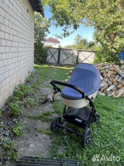 Коляска Tutis Viva life 2 в 1