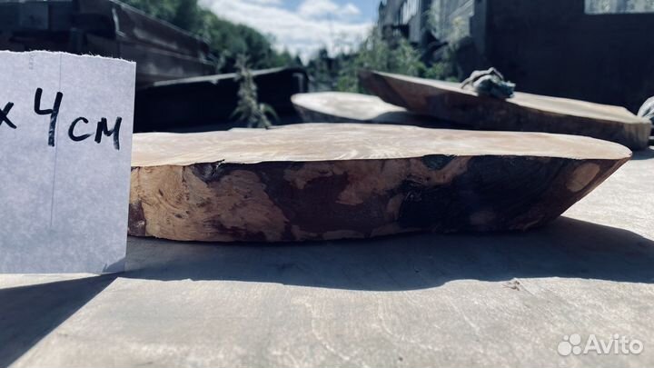 Сувель березы спилы