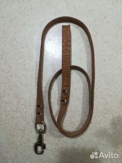 Поводок для маленьких собак