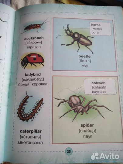 Английский словарь