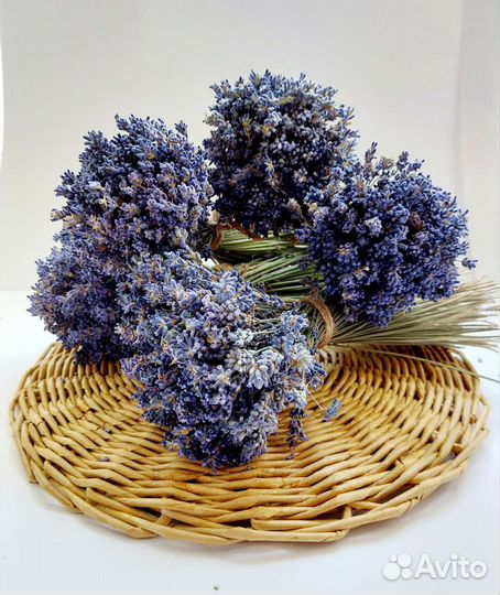 Лаванда букеты сухоцвет