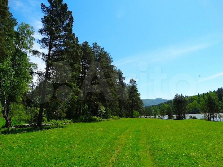 Участок 15,4 сот. (ИЖС)
