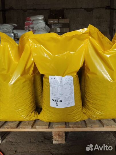 Корм и наполнитель для взрослых собак и кошек