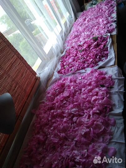 Травяной чай.Шиповник,зверобой, Иван чай