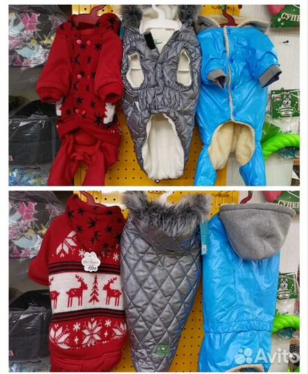 Одежда для собак