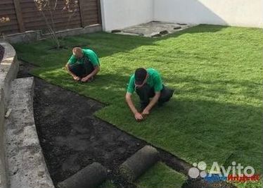 Газон рулонный