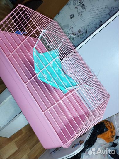 Автопоилки, гамаки,домики для грызунов