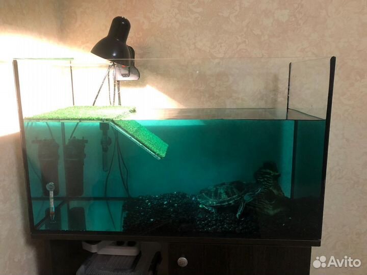 Террариум для красноухой черепахи