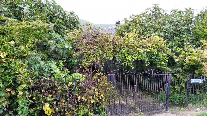 Участок 10,9 сот. (ИЖС)