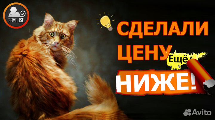 Новый Игровой Монитор Asus Vp247HAE / 1920x1080